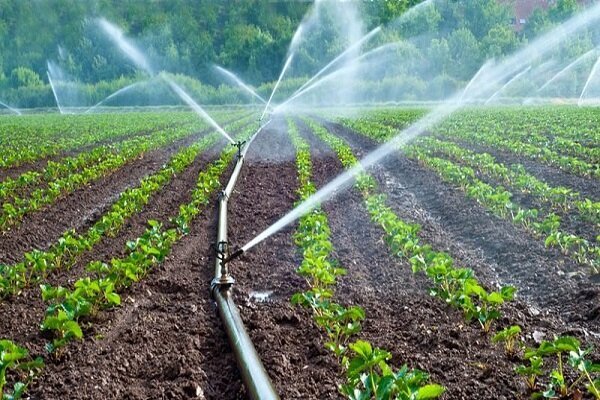 کشت فراسرزمینی منجر به تقویت تولید داخلی و تامین امنیت غذایی می‌شود